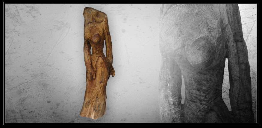 bild4